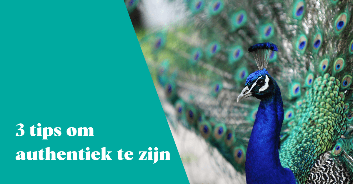 Zichtbaar zijn op LinkedIn zonder te klinken als een opschepper